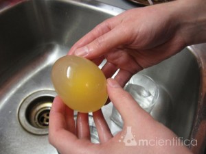 Retire o ovo com cuidado, segure o ovo com os dedos quando for retirar o vinagre, lave bem o ovo até retirar todo resíduo da casca.