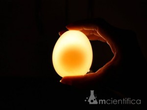 Coloque o ovo contra a luz e você poderá ver a gema dentro do ovo.