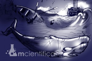 O livro Moby Dick é a obra prima do autor norte americano Helman Melville, uma extraordinária metáfora da condição humana.