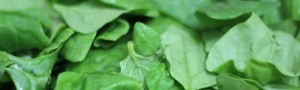 alimentos verdes - espinafre