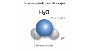 molécula da água